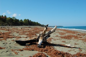 Playa Duaba Baracoa, Duaba Strand Baracoa, Duaba Beach Baracoa